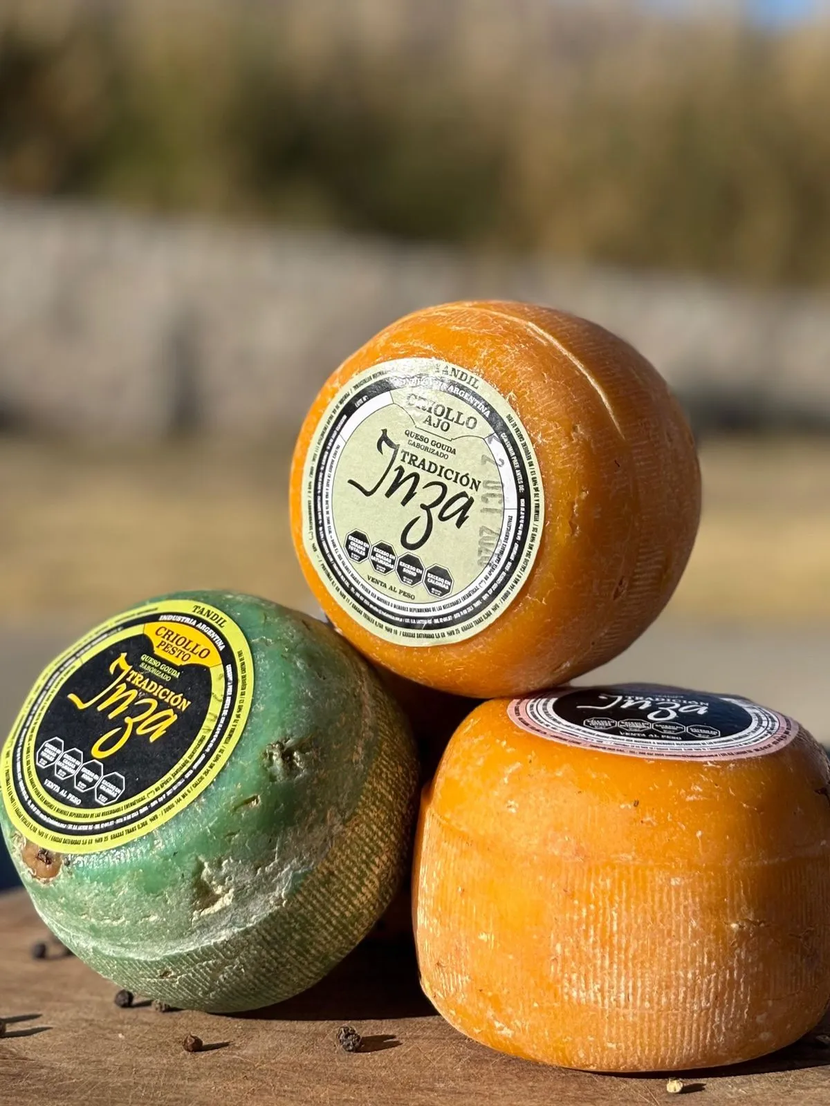 Tres mini hormas de queso Gouda saborizado Tradición Inza (criollo de pesto y criollo con ajo) sobre madera